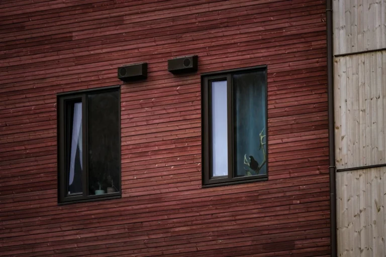 Rot gestrichene Holzfassade mit modernen dunklen Fenstern