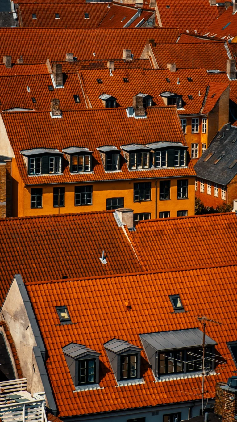 Blick über die roten Ziegeldächer und Gauben einer Altstadt